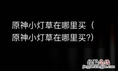 原神小灯草在哪里买? 原神小灯草在哪里买