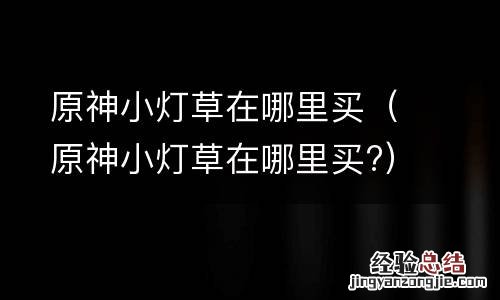 原神小灯草在哪里买? 原神小灯草在哪里买