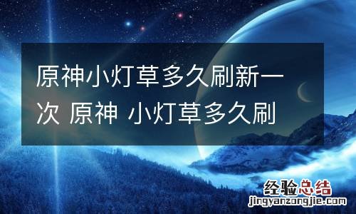 原神小灯草多久刷新一次 原神 小灯草多久刷新