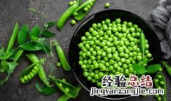 俄罗斯钓鱼4豌豆粥怎么做 豌豆粥怎么做