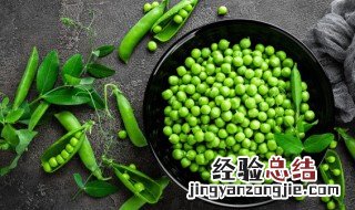 俄罗斯钓鱼4豌豆粥怎么做 豌豆粥怎么做