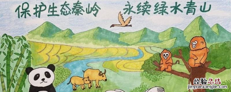 关于秦岭保护的内容 有关保护秦岭的内容