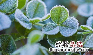 二十四节气霜降介绍 霜降是什么时候