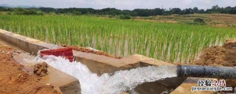 旱改水是什么类型的工程 旱改水是什么类型的工程属于碳中和吗