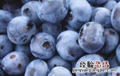 蓝莓的功效与作用价格查询 进口蓝莓的功效与作用