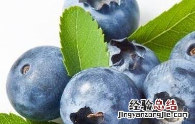 蓝莓的功效与作用价格查询 进口蓝莓的功效与作用
