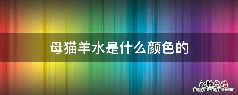 母猫羊水是什么颜色的 母猫羊水是什么样子的