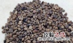益智营养品 益智的营养价值