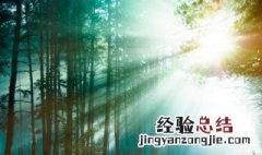 关于森林防火作文 关于森林防火作文的题目怎么写