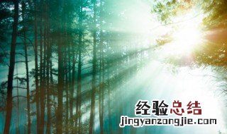 关于森林防火作文 关于森林防火作文的题目怎么写