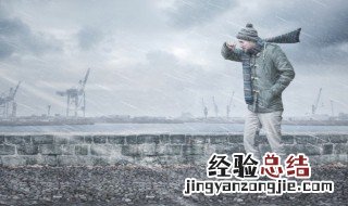关于下雨的作文 关于下雨的作文500字