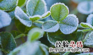 霜降是24节气第几个节气 霜降节气的介绍