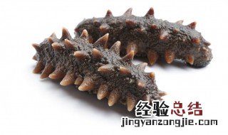 海叁怎么吃有营养 海参怎么吃对身体好