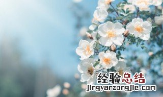 关于季节的作文 关于季节的作文400字
