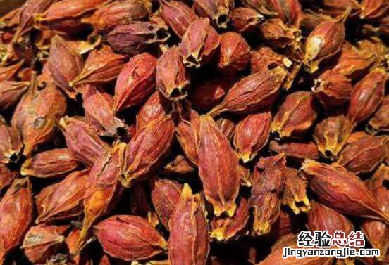 黄栀子的功效与作用，黄栀子的副作用