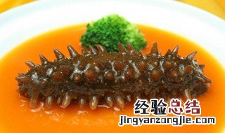 西红柿和海参能在一起吃吗 吃海参的禁忌
