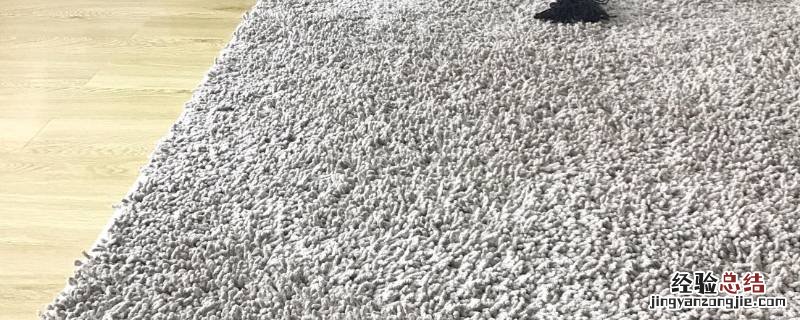 毛毛地毯可以用洗衣机洗吗 地毯可以用洗衣机洗吗