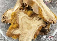 狗脊的功效与作用有哪些 狗脊的功效与作用及药用价值高吗