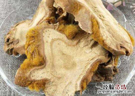 狗脊的功效与作用有哪些 狗脊的功效与作用及药用价值高吗