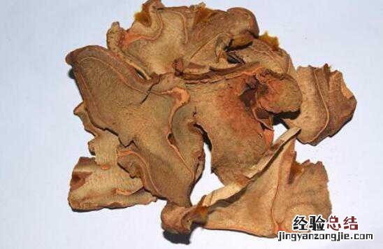 狗脊的功效与作用有哪些 狗脊的功效与作用及药用价值高吗