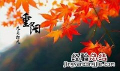 重阳节的简介 重阳节的介绍
