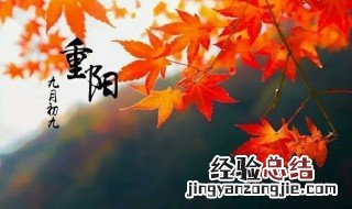 重阳节的简介 重阳节的介绍