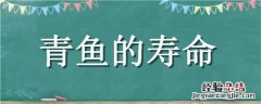 青龙鱼的寿命 青鱼的寿命