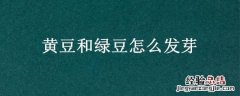黄豆和绿豆怎么发芽的 黄豆和绿豆怎么发芽