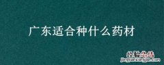 广东适合种什么药材 广东适合种什么药材?