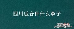 适合四川种植的李子品种 四川适合种什么李子