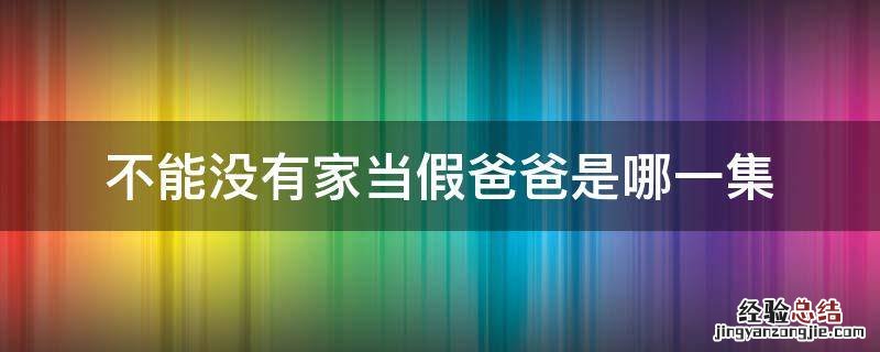 不能没有家当假爸爸是哪一集 不能没有家扮演爸爸是哪一集