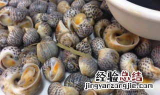 海螺和葡萄能一起吃吗 海螺的饮食禁忌
