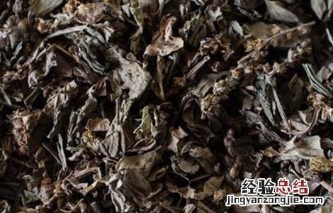 车前草的产地分布 车前草产自哪里