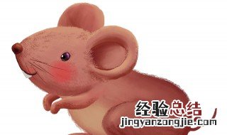 家里放一物绝对没老鼠的风水 家里放一物绝对没老鼠