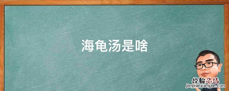 海龟汤是啥 海龟汤是啥游戏