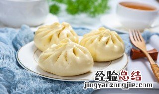 家庭版包子的做法 家庭版包子的做法视频