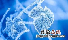 24节气霜降寄语 24节气霜降寄语有哪些