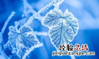 24节气霜降寄语 24节气霜降寄语有哪些