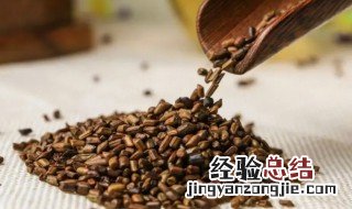 决明子的营养价值 决明子的功效
