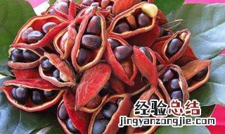 红焖香干凤眼果的做法 红焖香干凤眼果的做法介绍