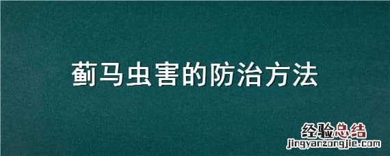 蓟马虫害的防治方法月季花卷叶黄叶 蓟马虫害的防治方法