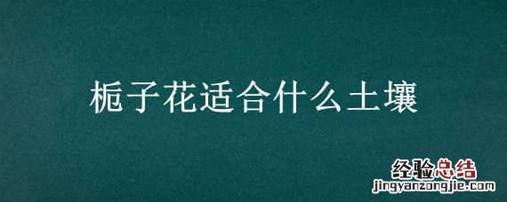 栀子花适合什么土壤 栀子花适合什么土壤栽培