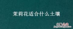 茉莉花适合什么土壤 茉莉花适合什么土壤种植