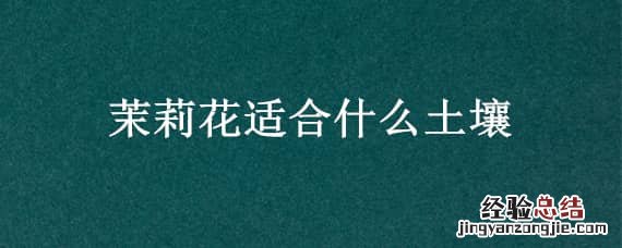 茉莉花适合什么土壤 茉莉花适合什么土壤种植