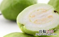 珍珠番石榴的功效与作用 珍珠番石榴有什么功效