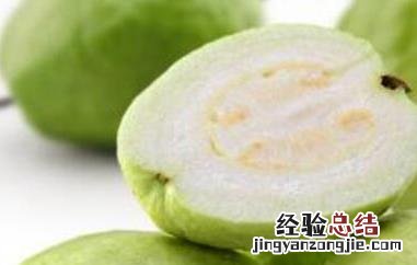 珍珠番石榴的功效与作用 珍珠番石榴有什么功效