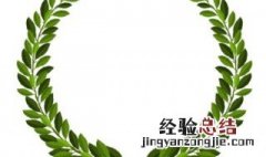 橄榄枝代表什么象征意义呢 橄榄枝代表什么象征意义
