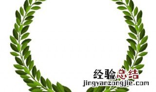 橄榄枝代表什么象征意义呢 橄榄枝代表什么象征意义