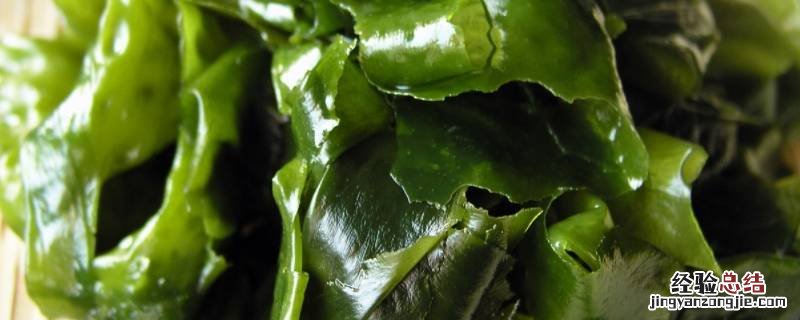 群菜和海带的区别 群带菜和海带丝的区别