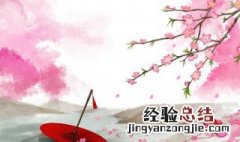 类似神女赋风丝引的书 神女赋一类的书